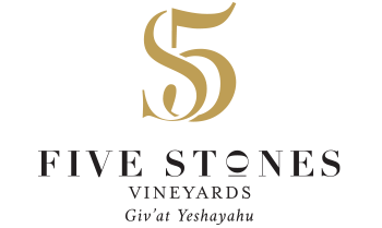 5 STONES LOGO